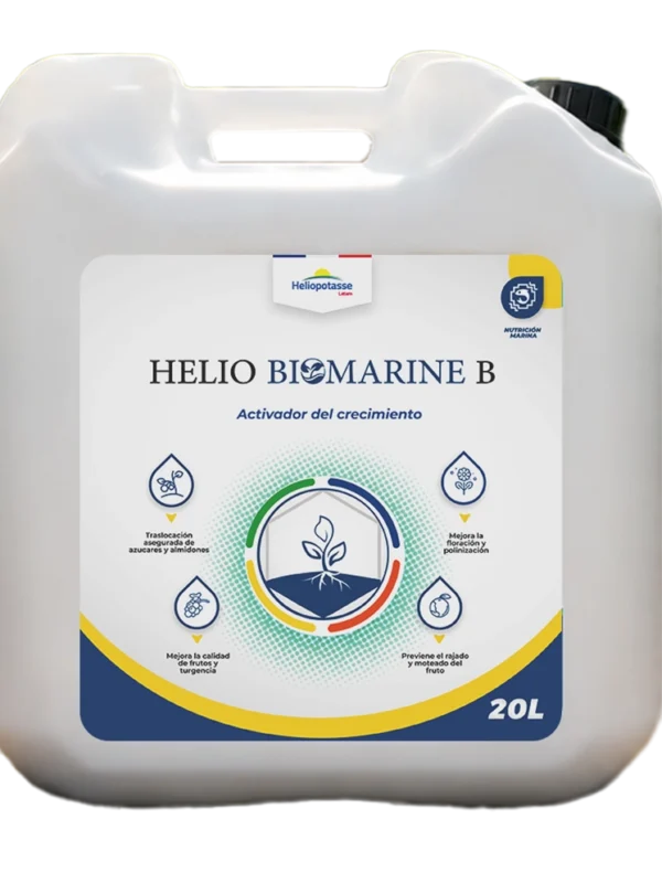 Helio Biomarine Boro