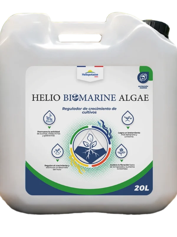 Helio Biomarine Algae