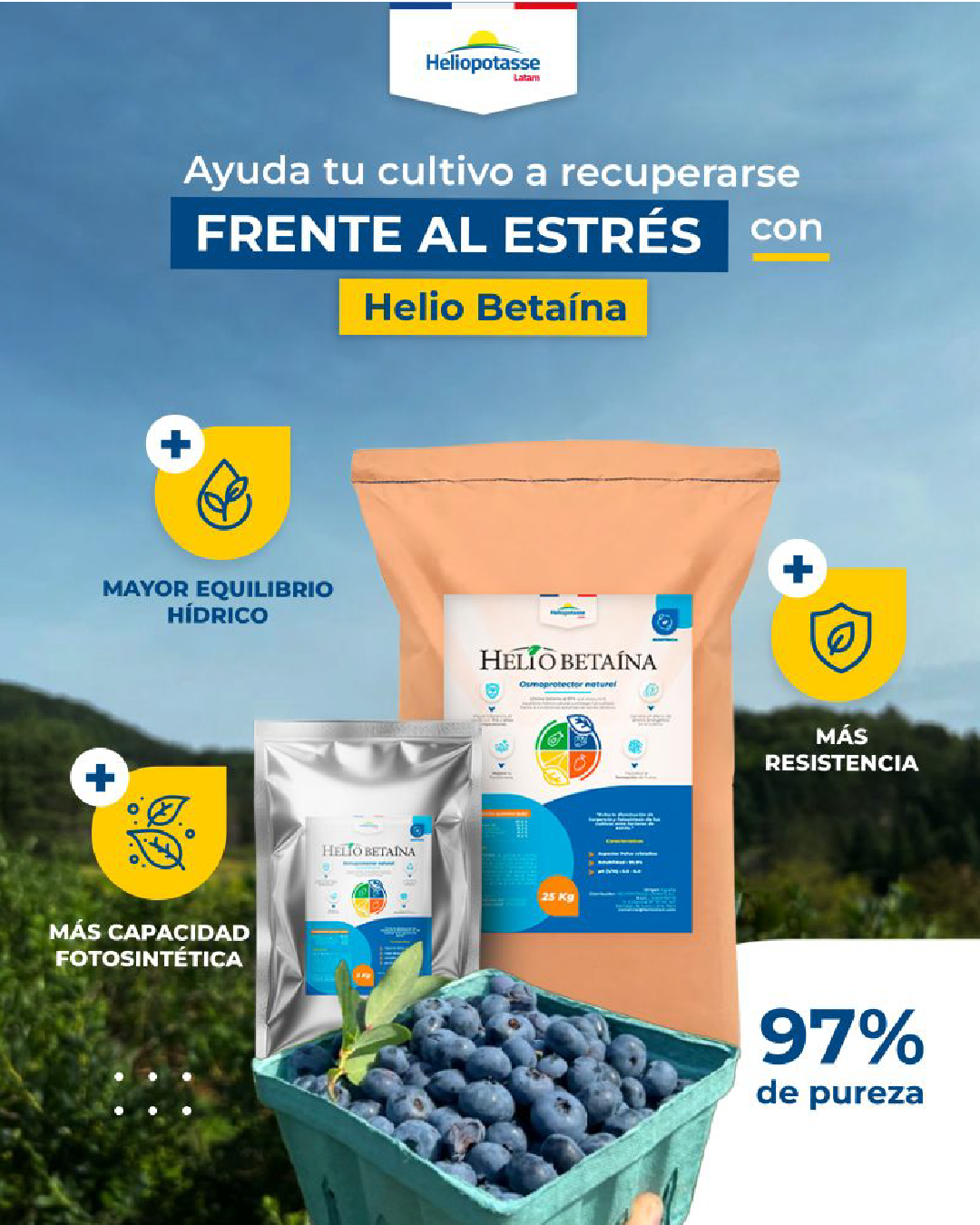 Post de LinkedIn 1