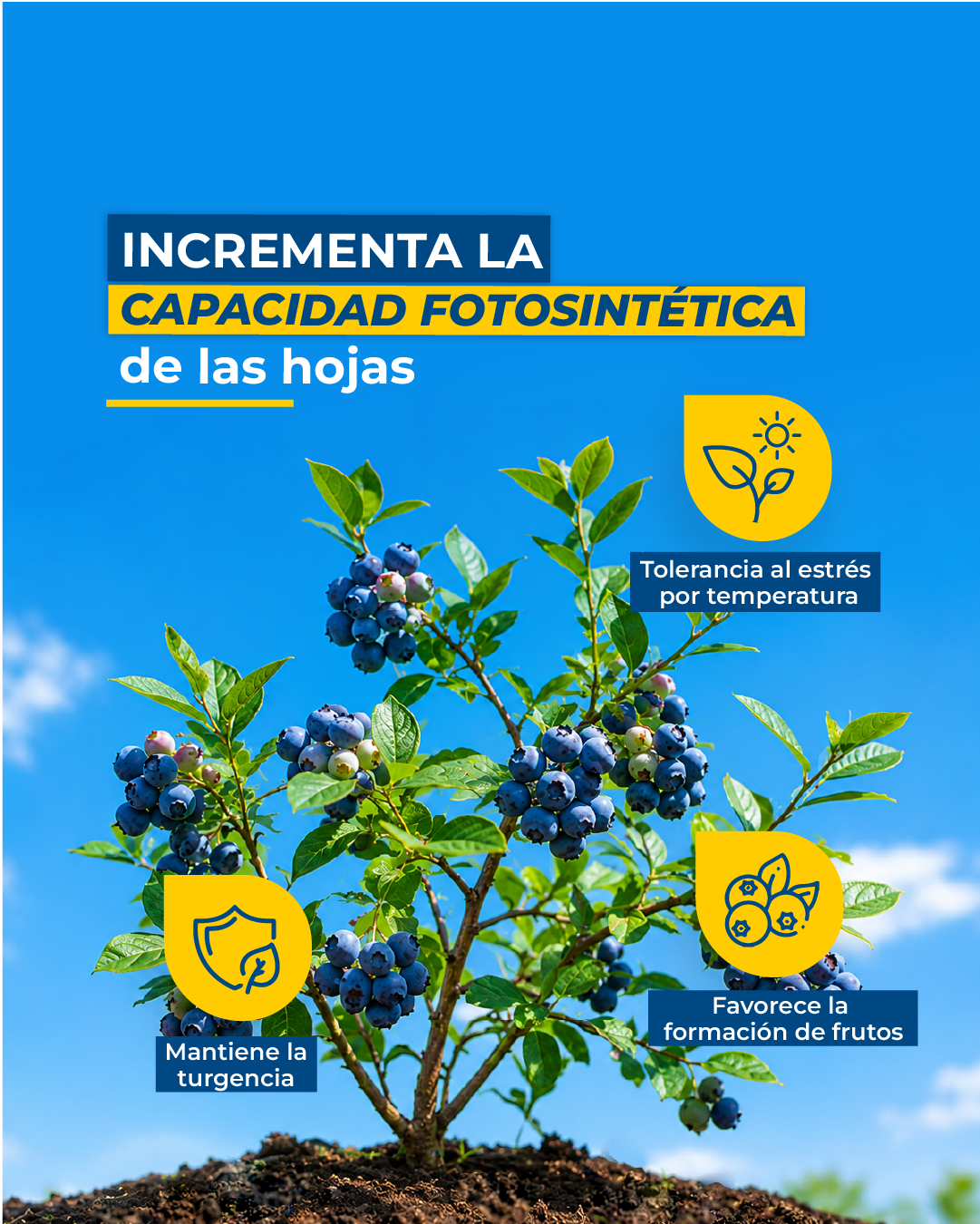 Post de LinkedIn 2