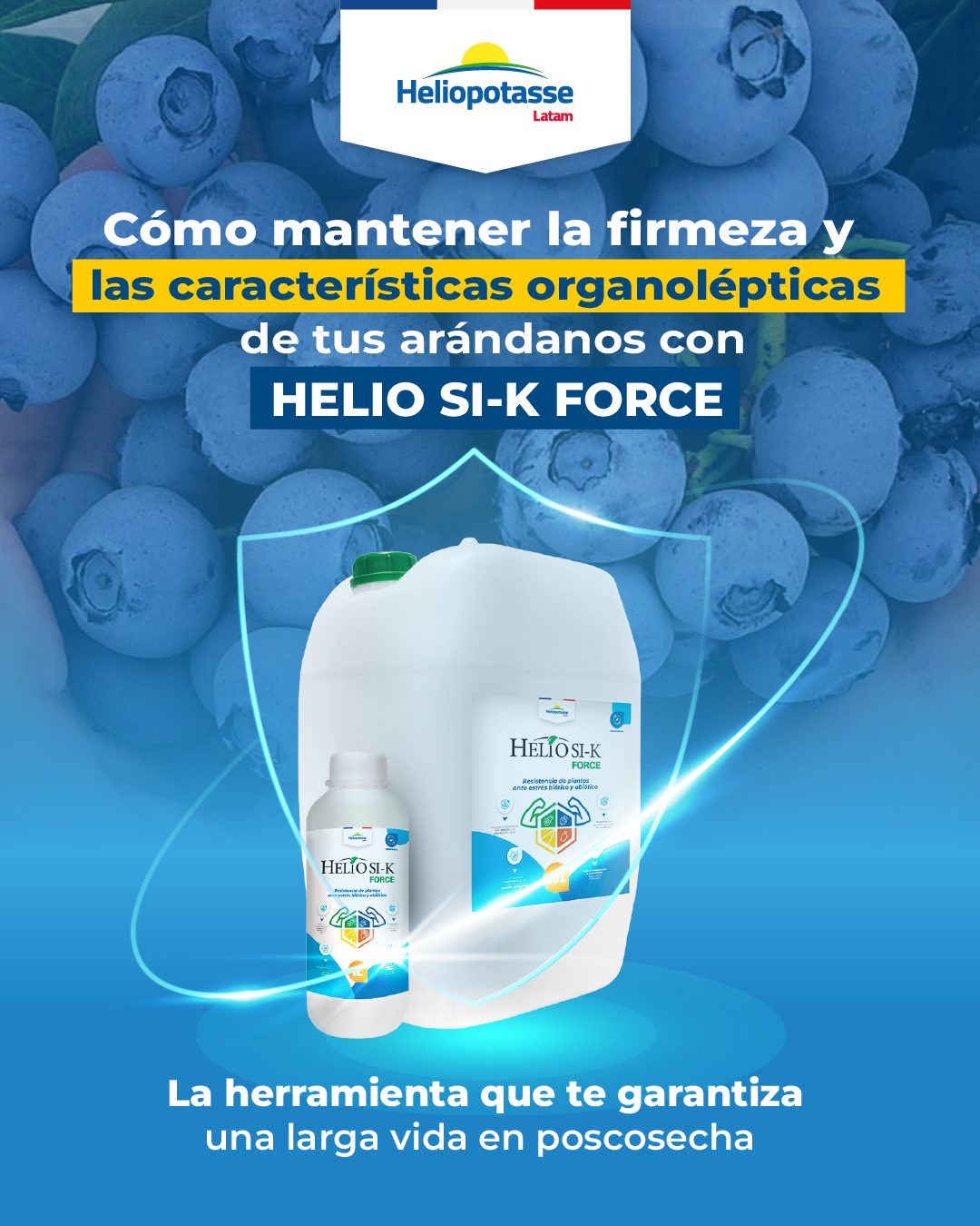 Post de LinkedIn 1